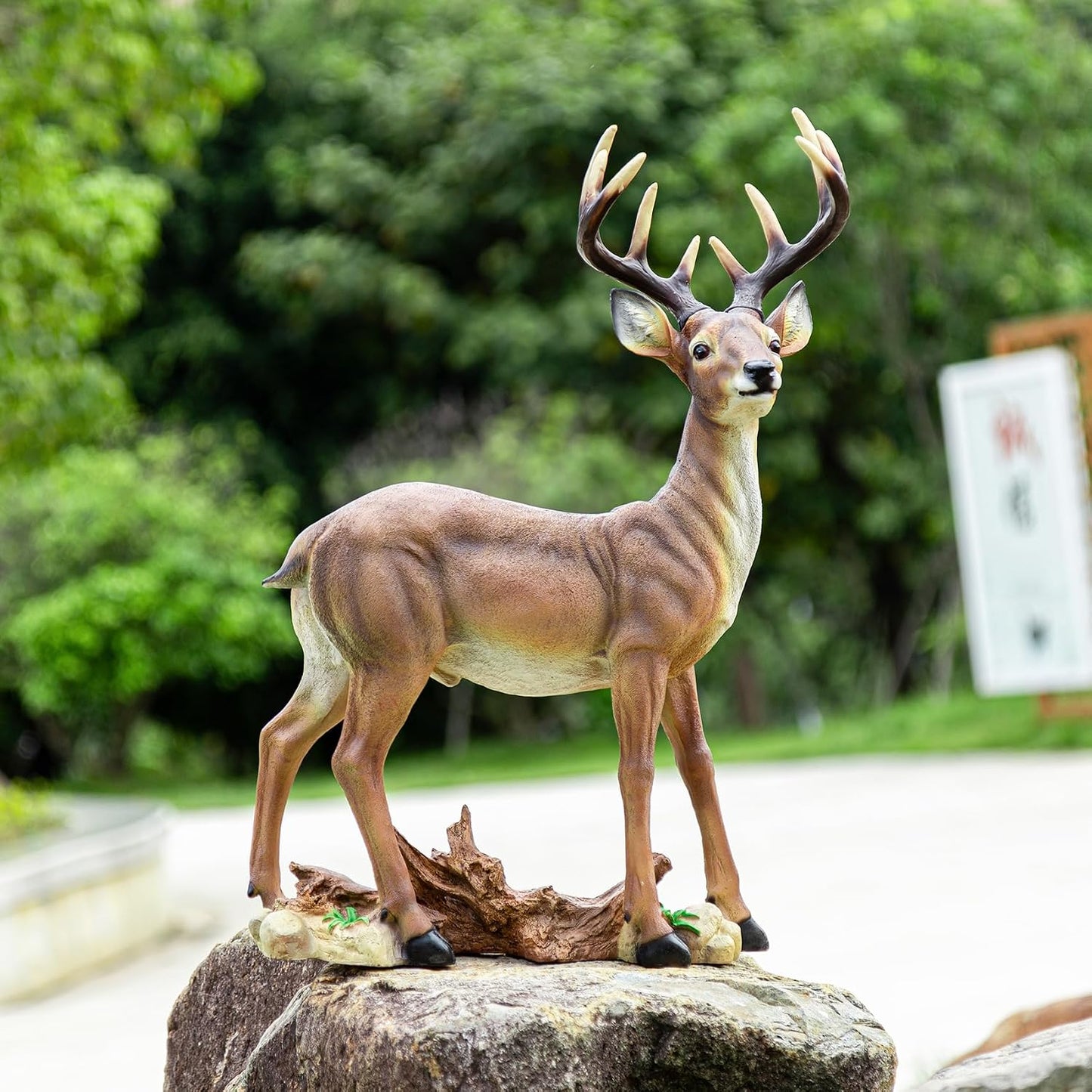 Outdoor Garden Lawn Decoration-Weather-Resistant Sika Deer Statue and Deer Decoy