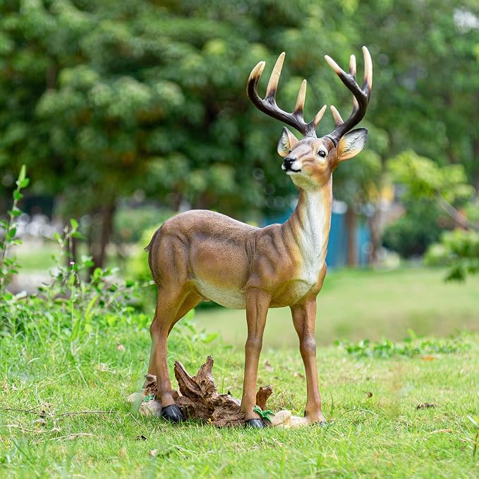 Outdoor Garden Lawn Decoration-Weather-Resistant Sika Deer Statue and Deer Decoy